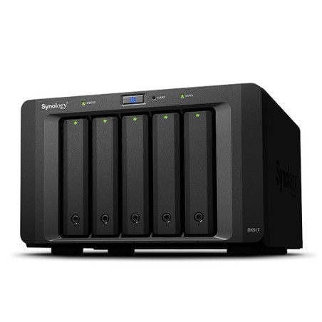 Synology DX513